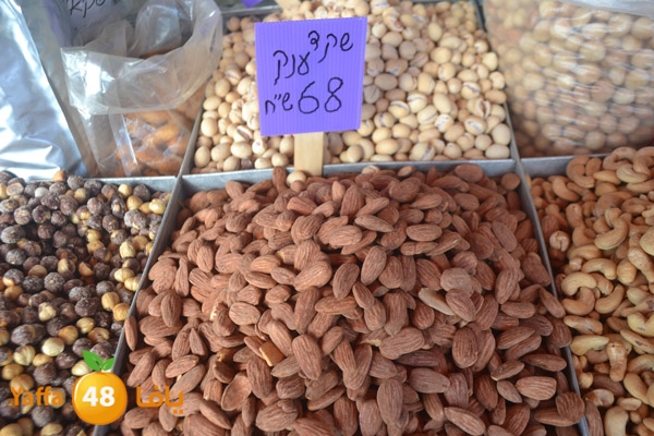 mokasaratshadyjamal (13).JPG